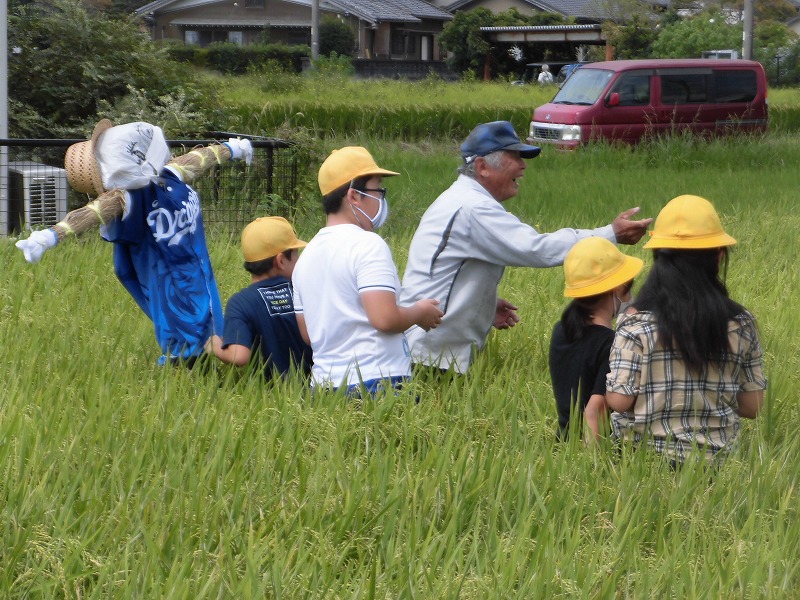 山田の なぁ かの 一本足の かかし 半田市立有脇小学校