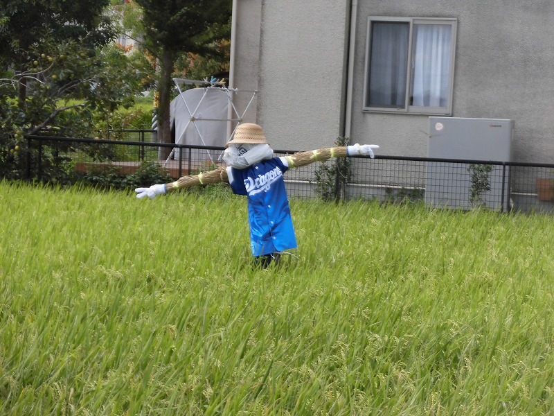山田の なぁ かの 一本足の かかし 半田市立有脇小学校