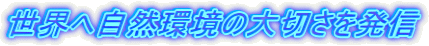 E֎R̑؂𔭐M