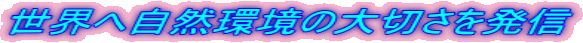 E֎R̑؂𔭐M